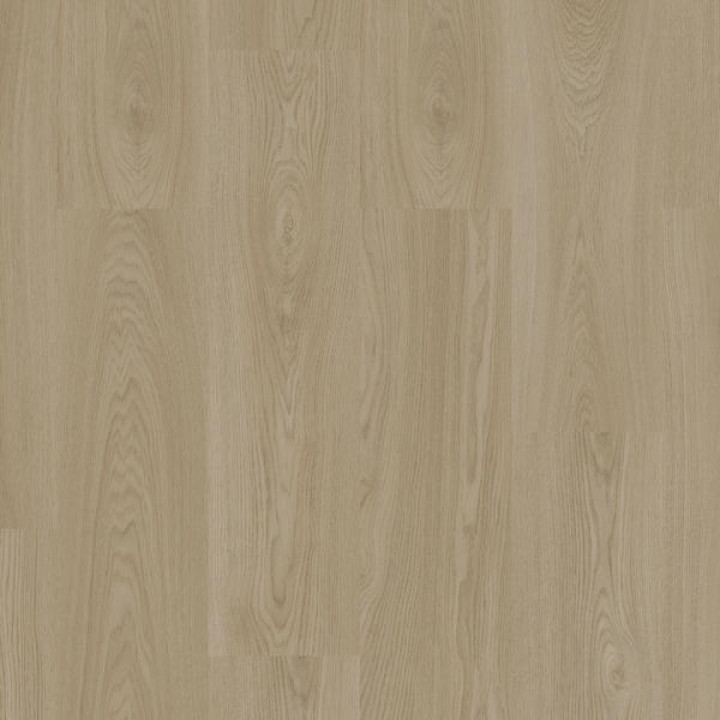 Citizen Oak Allover GOLDEN