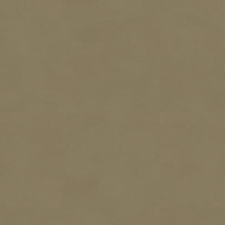 Dashes CAMEL