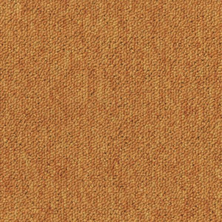 Essence 530 AB05 5420