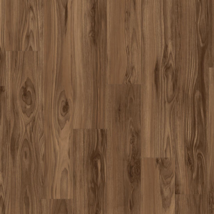 American Walnut MARRON
