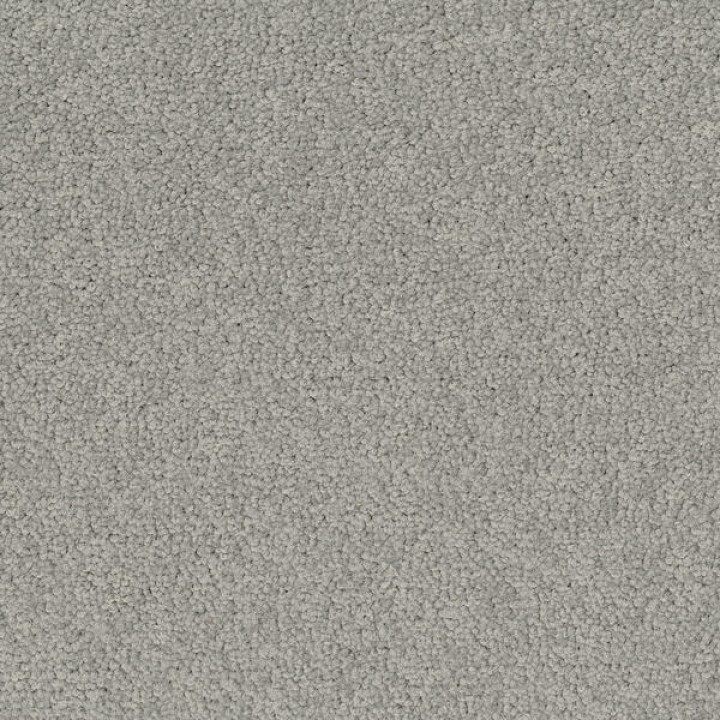 Palatino A072 1318