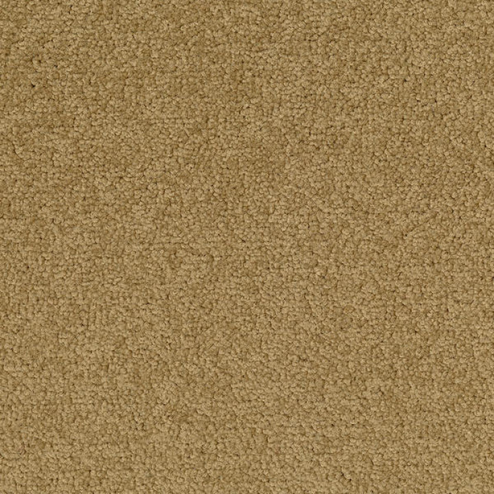 Palatino A072 2036