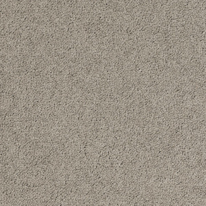 Palatino A072 2923