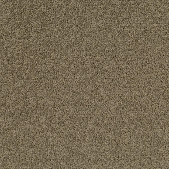 Palatino A072 2929