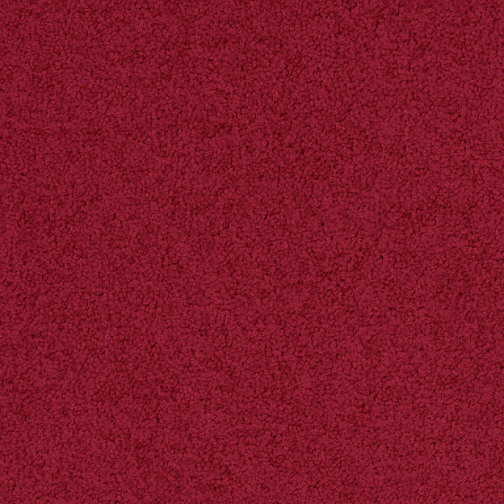 Palatino A072 4218