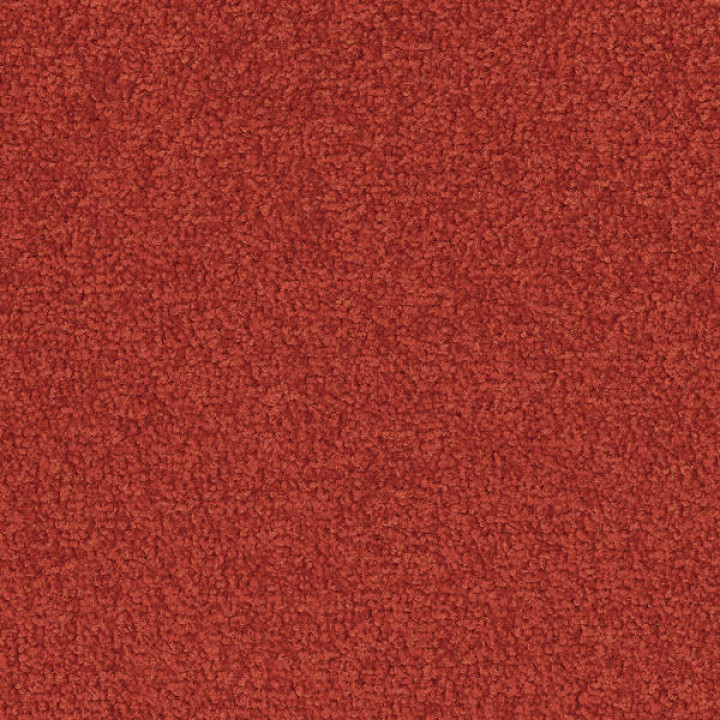 Palatino A072 4406