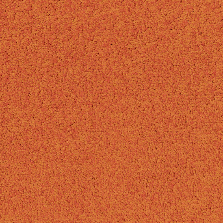 Palatino A072 5206