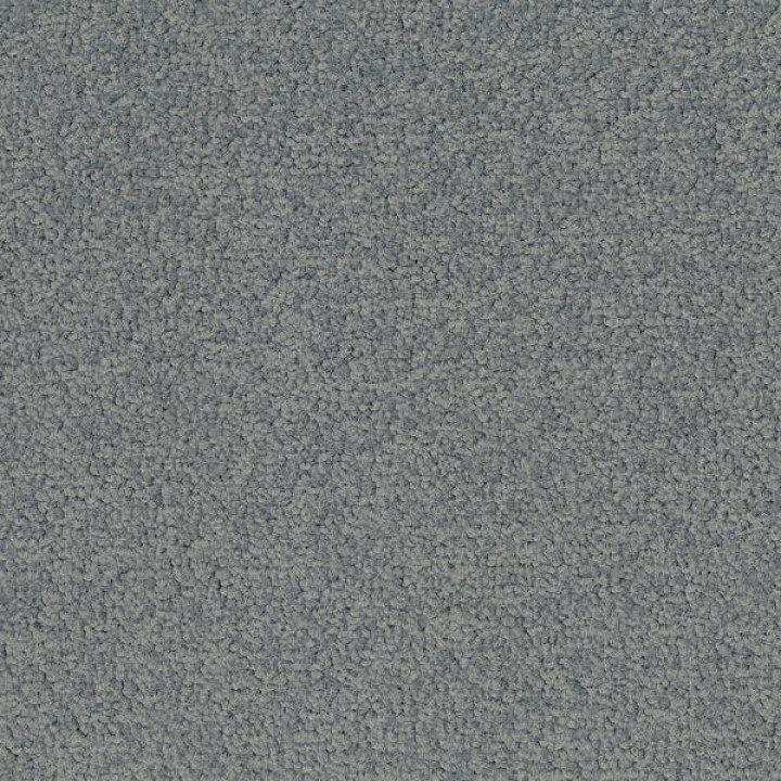 Palatino A072 5502