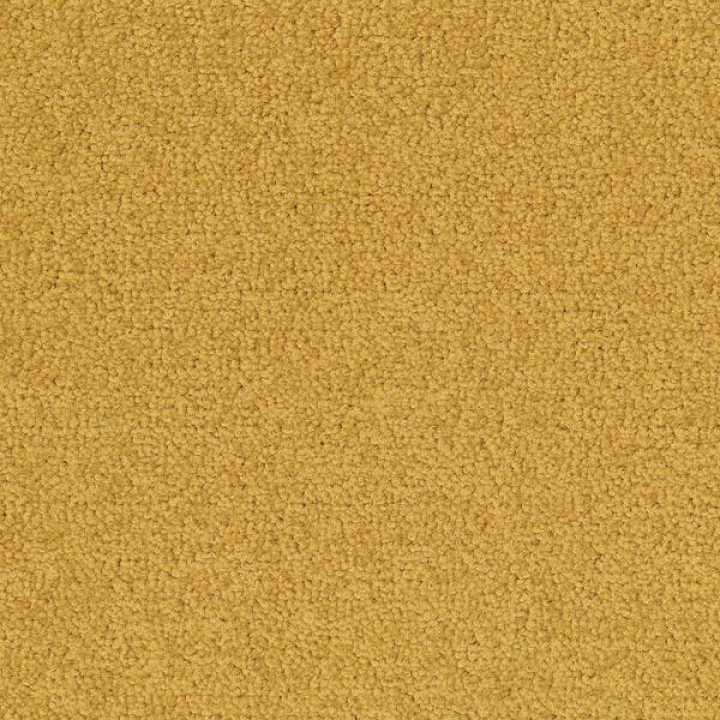 Palatino A072 6016