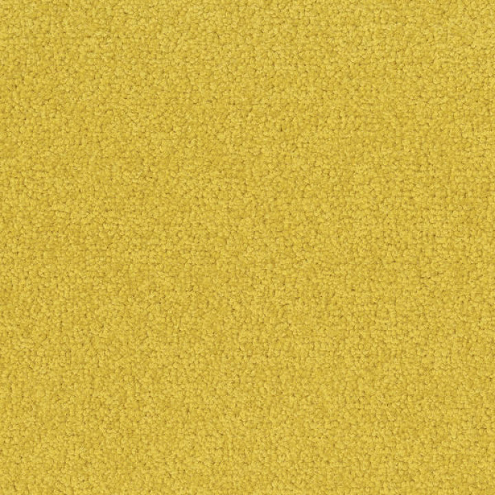 Palatino A072 6208