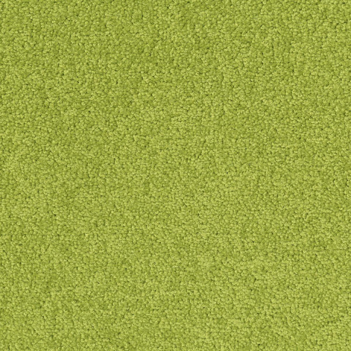Palatino A072 7018