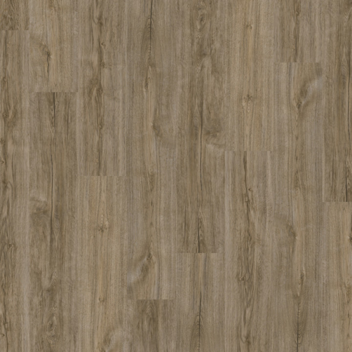 DESIGN 555 2,5mm/NS 0,55mm Dryback