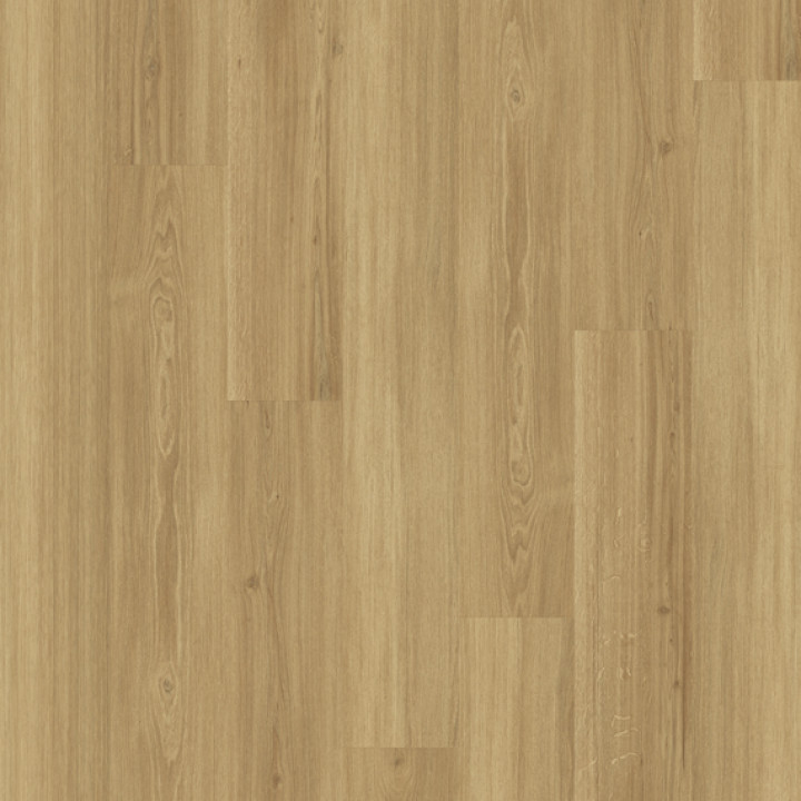 DESIGN 555 2,5mm/NS 0,55mm Dryback