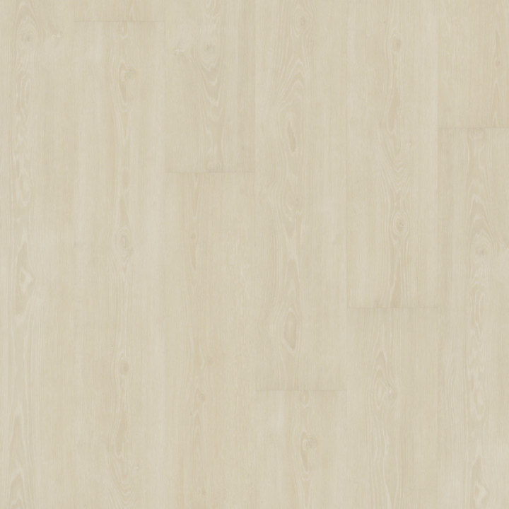DESIGN 555 2,5mm/NS 0,55mm Dryback