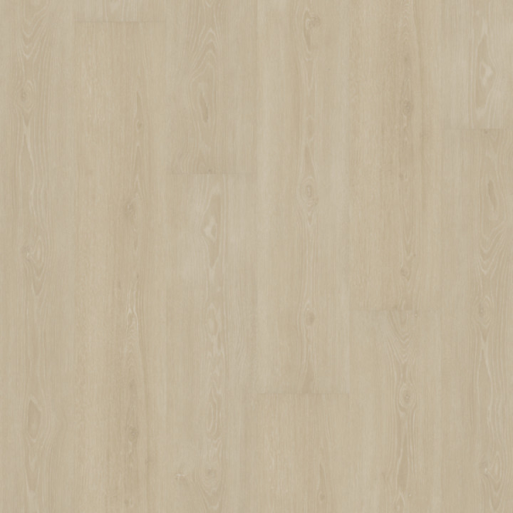 DESIGN 555 2,5mm/NS 0,55mm Dryback