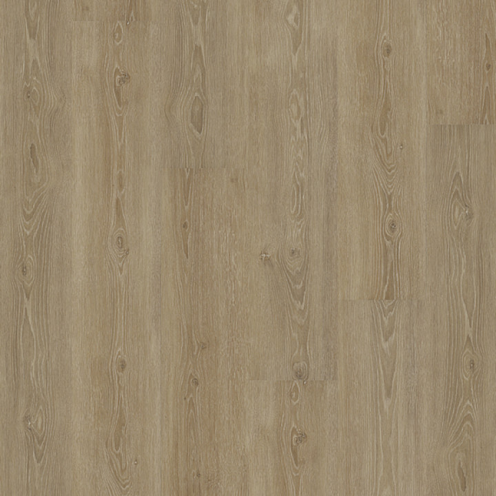 DESIGN 555 2,5mm/NS 0,55mm Dryback