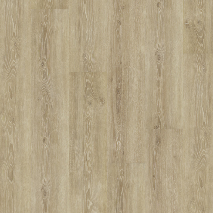 DESIGN 555 2,5mm/NS 0,55mm Dryback