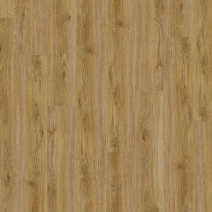 DESIGN 555 2,5mm/NS 0,55mm Dryback