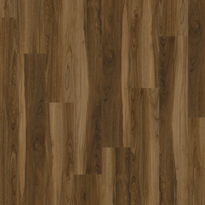 DESIGN 555 2,5mm/NS 0,55mm Dryback