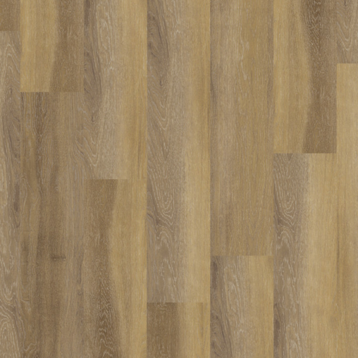 DESIGN 555 2,5mm/NS 0,55mm Dryback