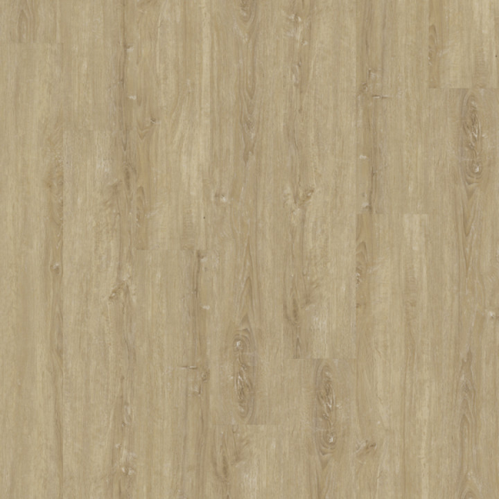 DESIGN 555 2,5mm/NS 0,55mm Dryback