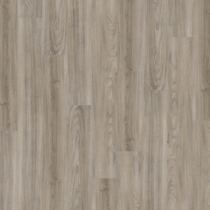 DESIGN 555 2,5mm/NS 0,55mm Dryback