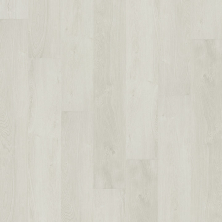 DESIGN 555 2,5mm/NS 0,55mm Dryback