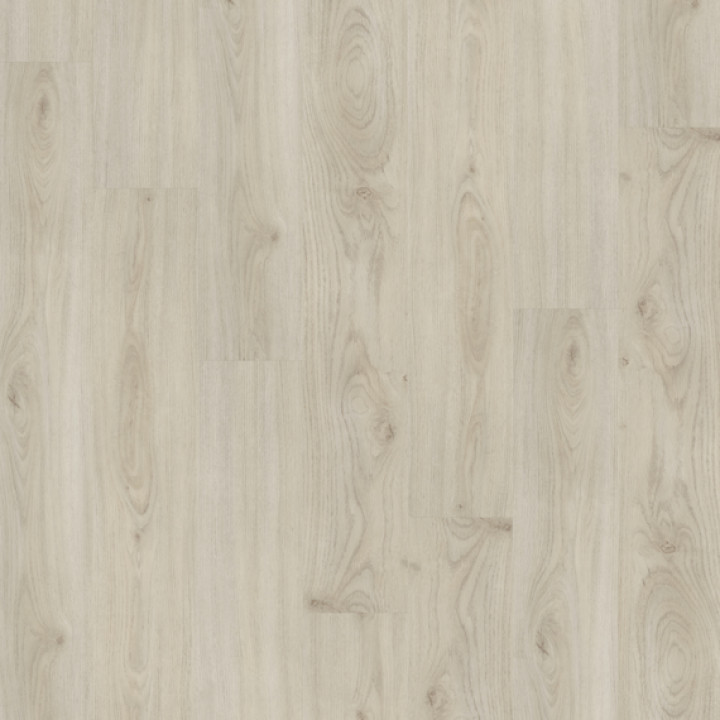 DESIGN 555 2,5mm/NS 0,55mm Dryback