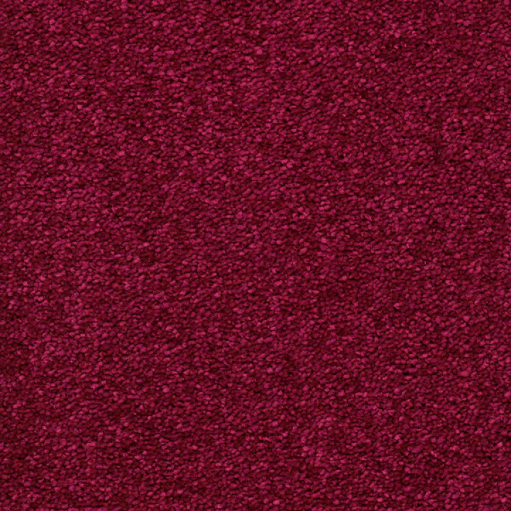 Teppichboden NOVUS 500cm Sprint 24