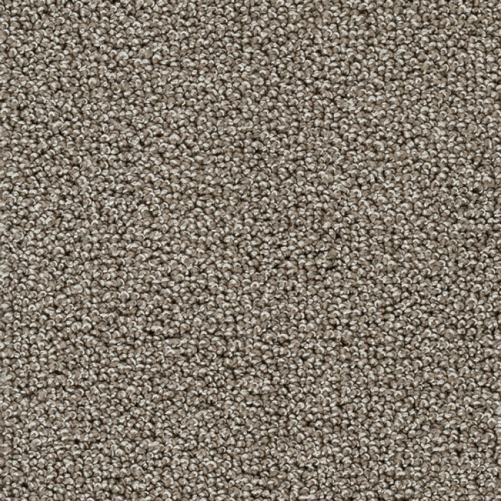 Teppichboden AMBRA 500cm Trend 026