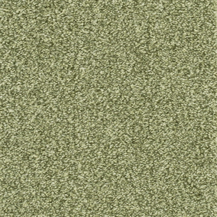 Teppichboden DERBY 500cm Trend 026