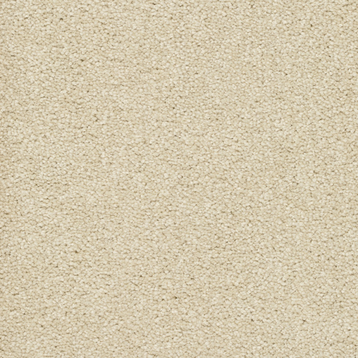 Teppichboden ALAMO 500 cm Trend 026