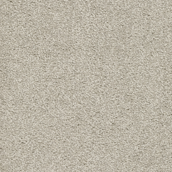 Teppichboden ALAMO 400 cm Trend 026