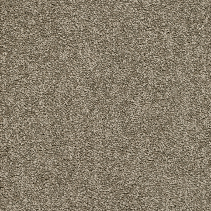 Teppichboden ALAMO 400 cm Trend 026