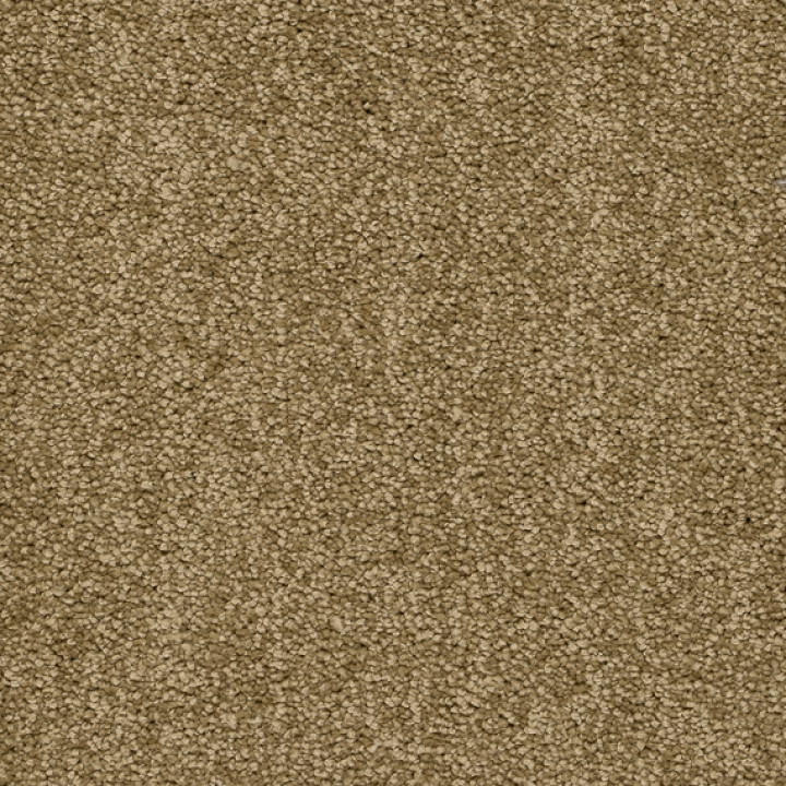 Teppichboden ALAMO 400 cm Trend 026