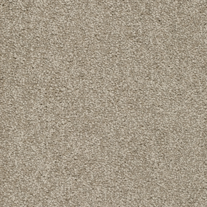 Teppichboden ALAMO 500 cm Trend 026