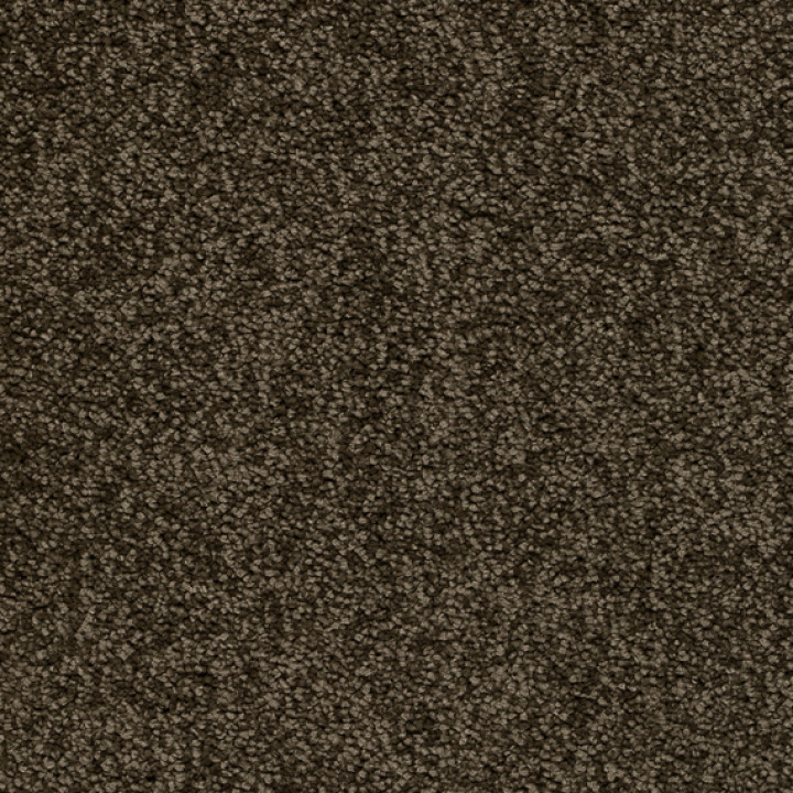 Teppichboden ALAMO 400 cm Trend 026
