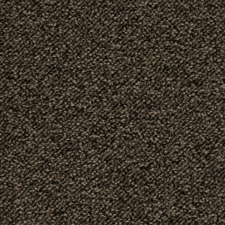 Teppichboden TERRA 500 cm Trend 026